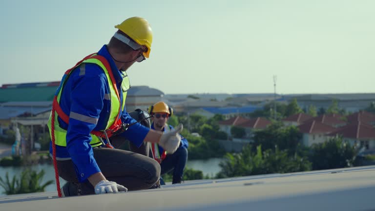 Best Roof Maintenance and Cleaning  in Lely, FL